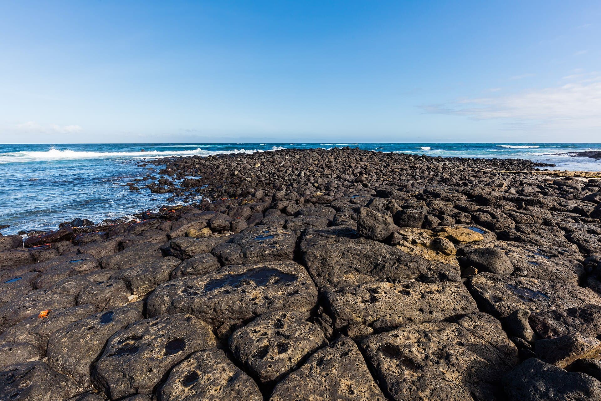 Las islas Galápagos. Fotografía de Diego Delso
