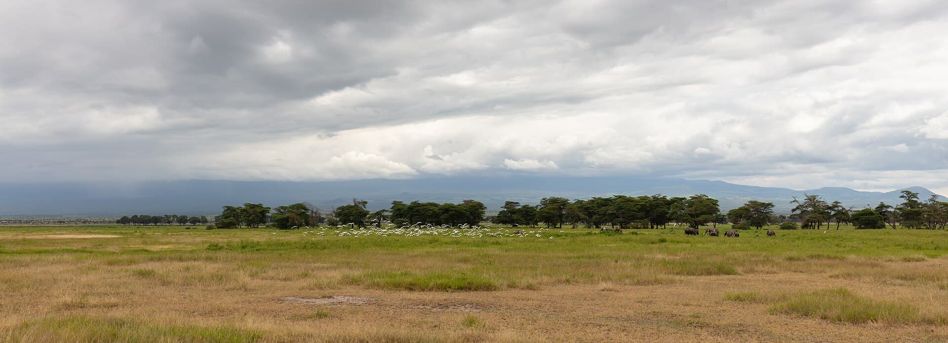 Paisaje de Kenya. Fotografía de Diego Delso