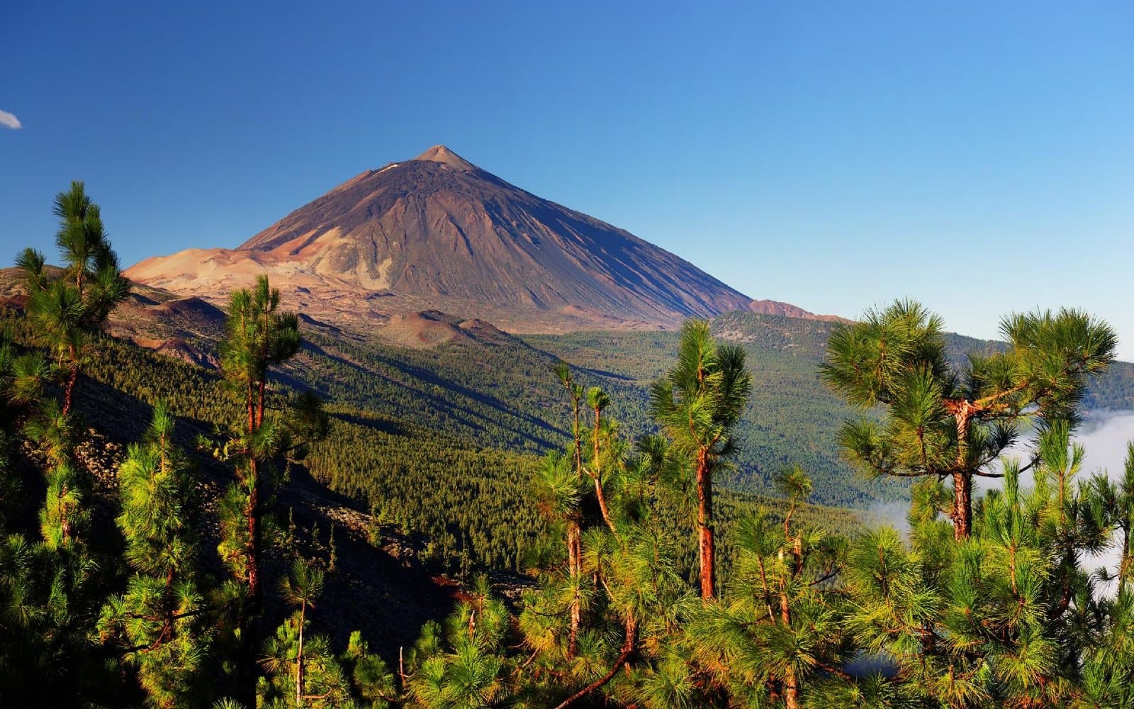 Tenerife senior · 8 días con vuelo directo desde Jerez y pensión completa - foto 1