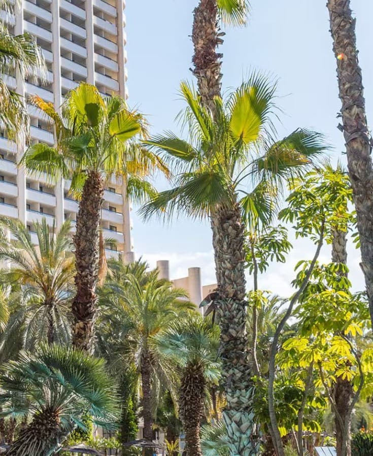 Meliá Benidorm: Halloween y puente de Todos los Santos en pensión completa - foto 1